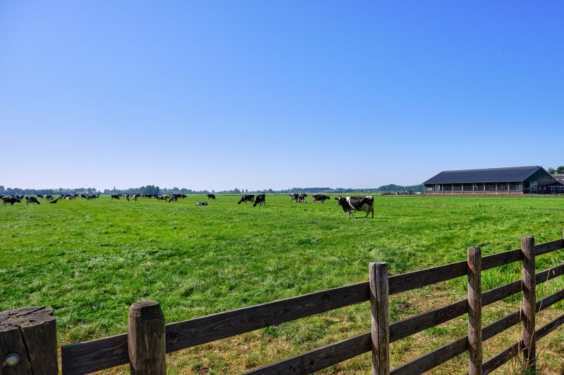 Pasture Management