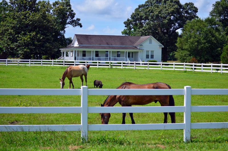 Pasture Management