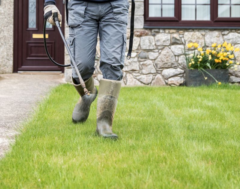 Summer Grazing Strategies