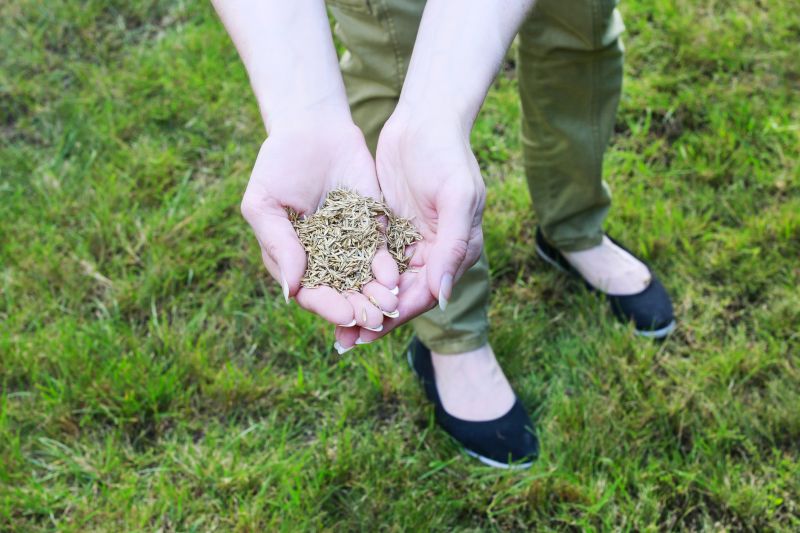Pasture Management in Spring