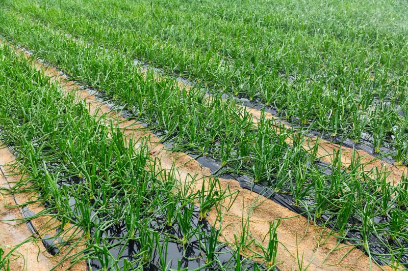 Post-Harvest Maintenance